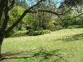 Winter garden